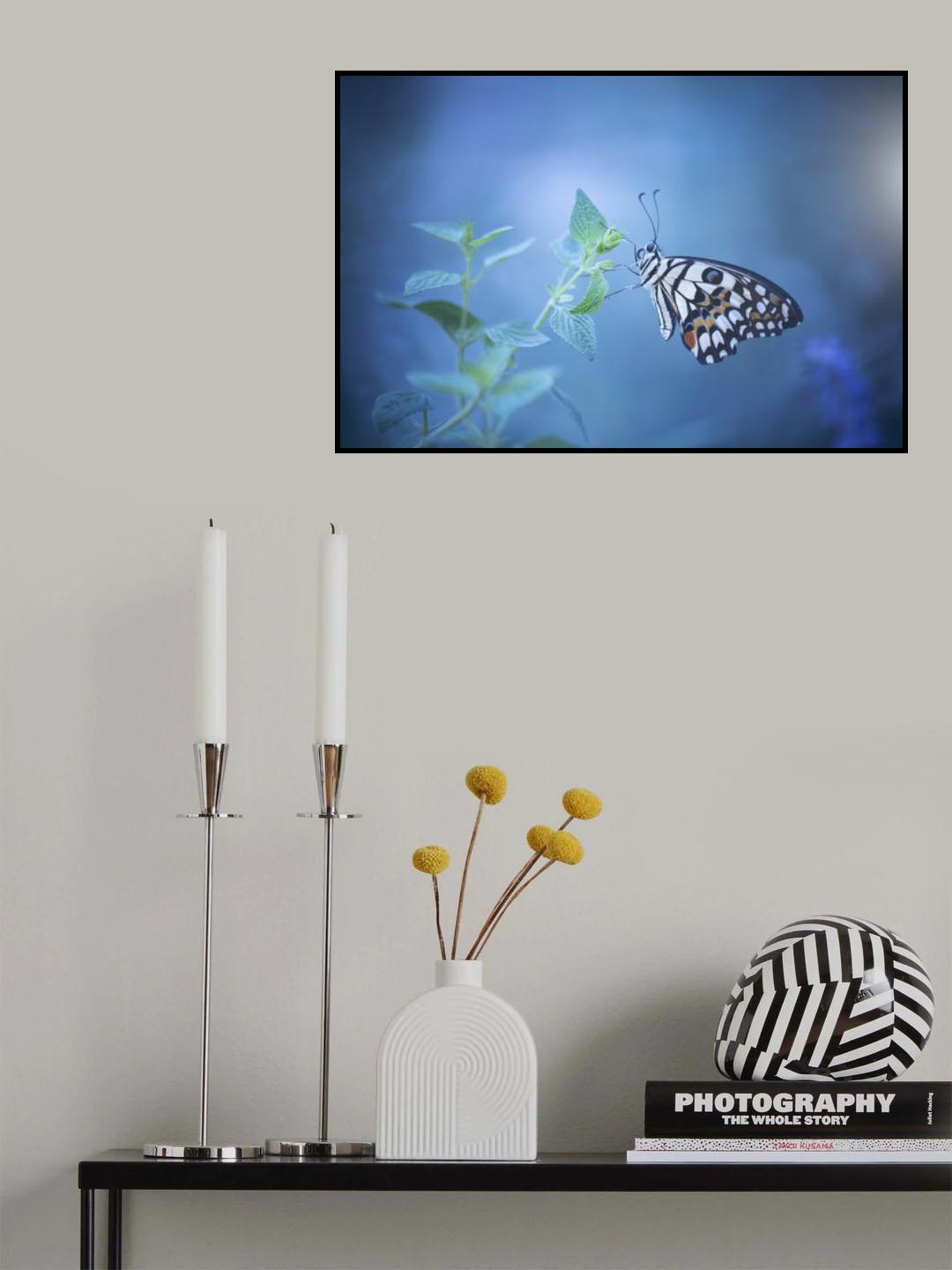 butterfly Poster och Canvastavla