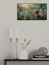 Red hat... Poster och Canvastavla