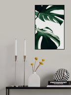 Monstera Natural 12 Poster och Canvastavla