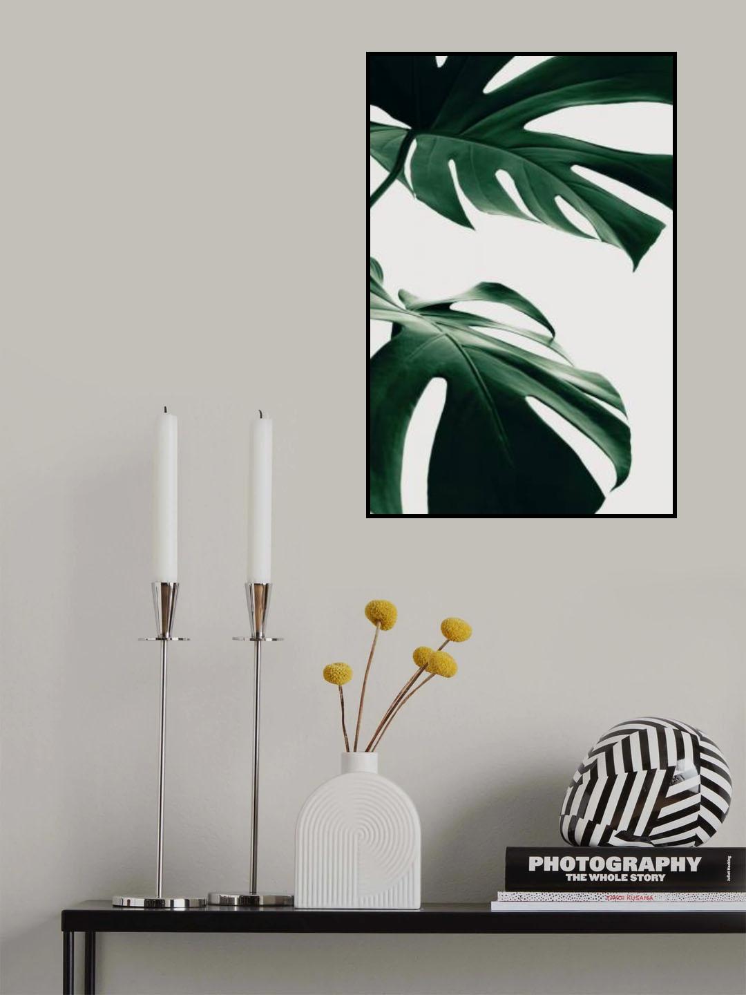 Monstera Natural 12 Poster och Canvastavla