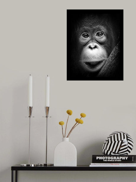 Innocent Poster och Canvastavla