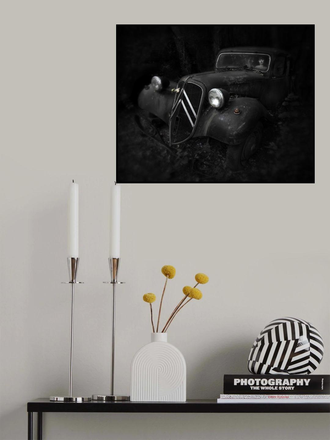 11 CV Poster och Canvastavla