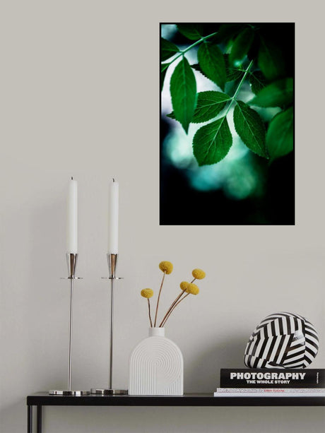 Dark Leaves 14 Poster och Canvastavla