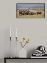 Happy Family Poster och Canvastavla