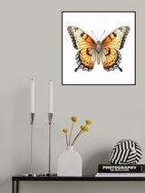 Butterfly 7 Poster och Canvastavla