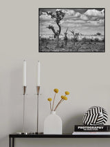 The last unicorn Poster och Canvastavla