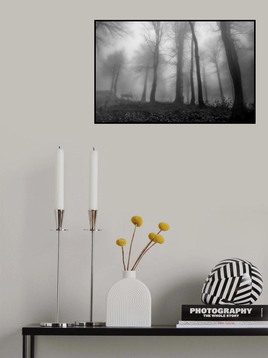 foggy forest Poster och Canvastavla