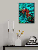 Seahorse portrait Poster och Canvastavla