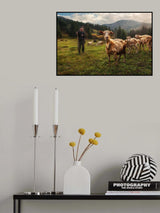 A Day in the Carpathian Mountains Poster och Canvastavla