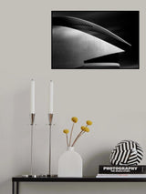 Reina Sofia 03 Poster och Canvastavla