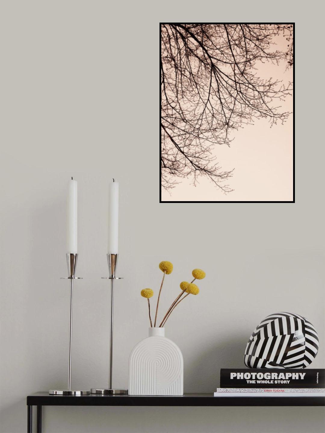 Branches - Sepia Poster och Canvastavla