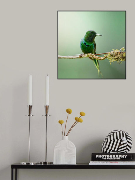 Discosura conversii Poster och Canvastavla