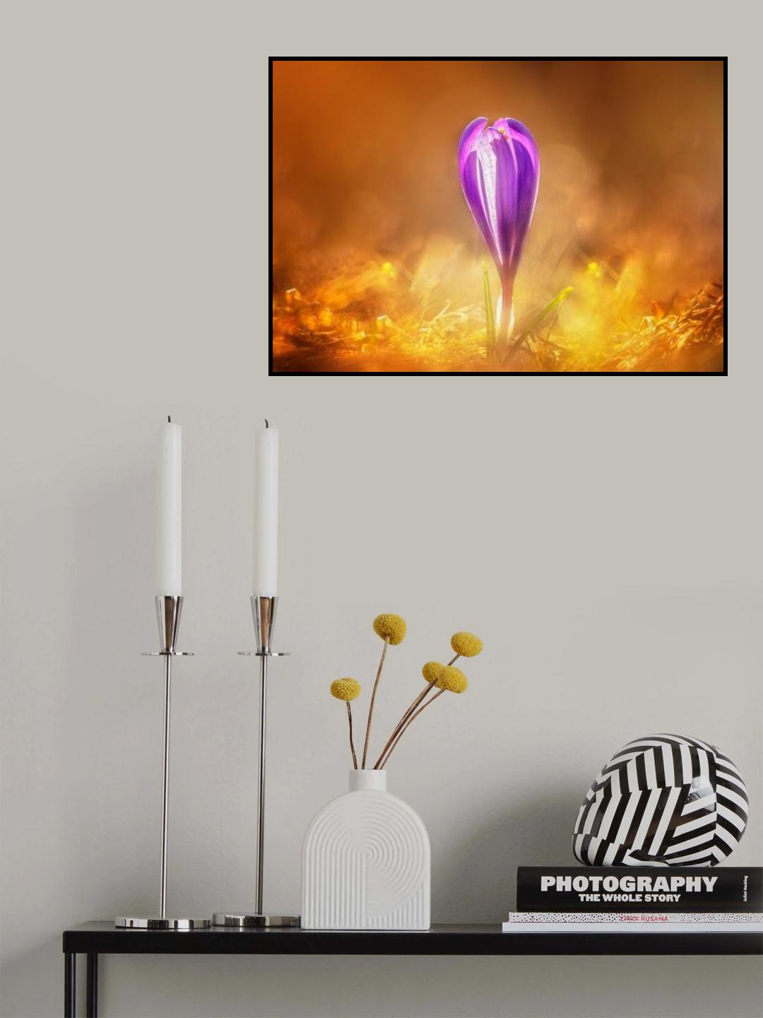 Golden spring Poster och Canvastavla