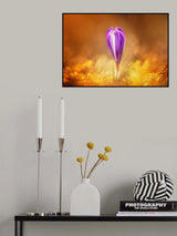 Golden spring Poster och Canvastavla