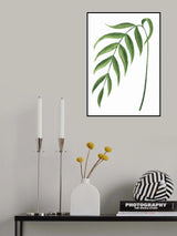 Leire green branch Poster och Canvastavla