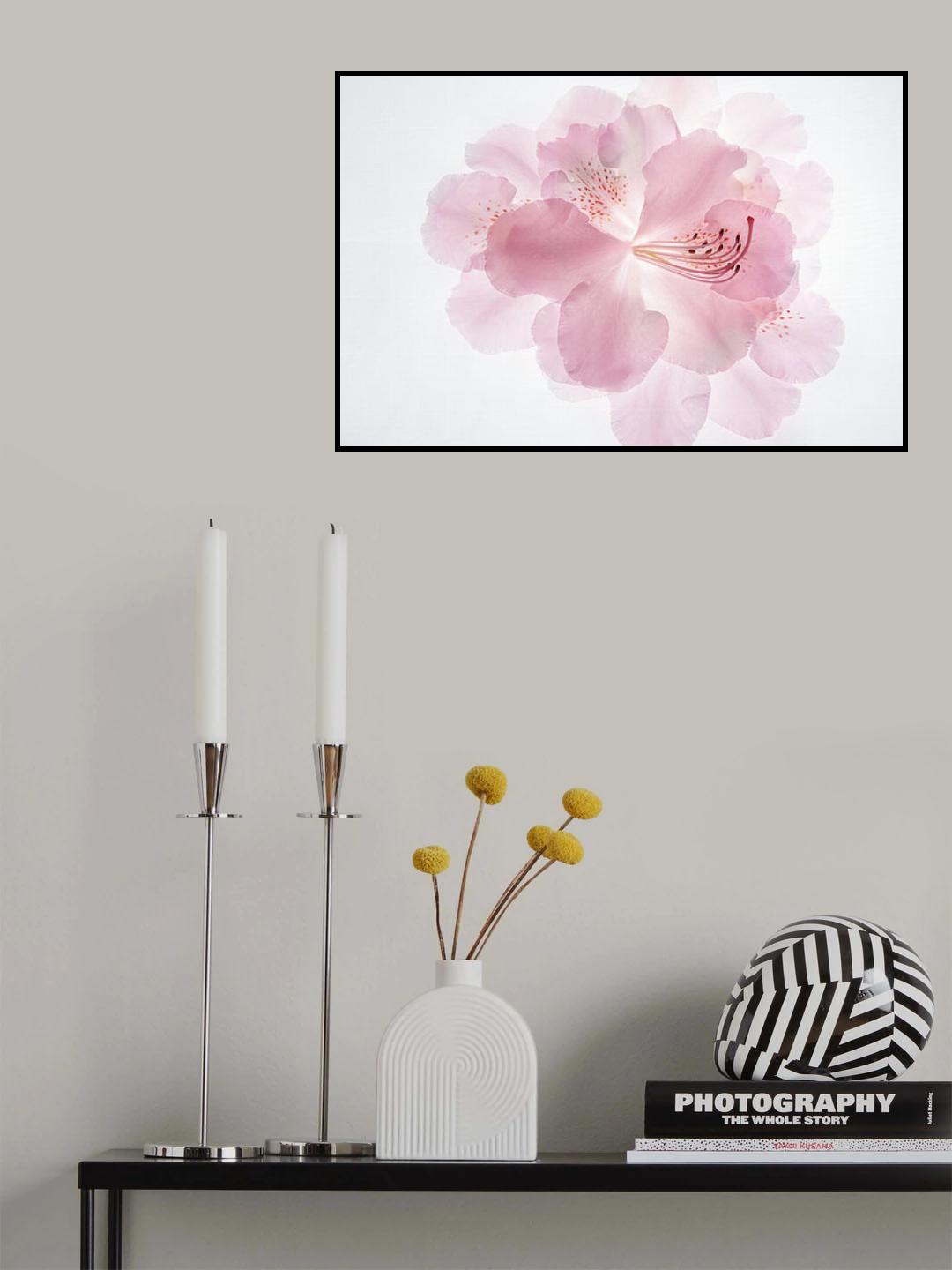 Pink dream Poster och Canvastavla