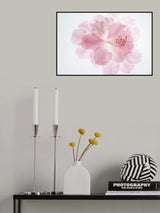 Pink dream Poster och Canvastavla