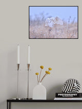 Snowy Owl on a Snowy day Poster och Canvastavla