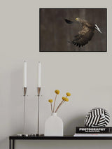 Fly Poster och Canvastavla