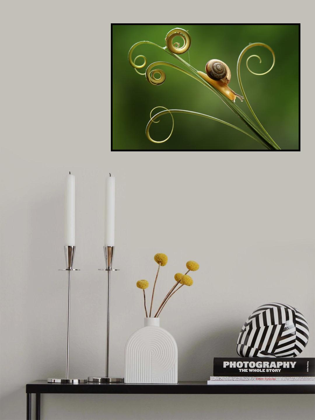 Snails and Leaf Edges Poster och Canvastavla