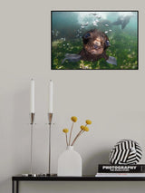 baby of the sea Poster och Canvastavla