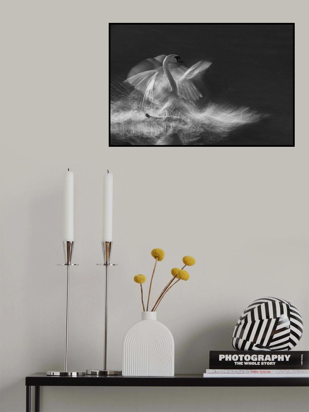 Landing Poster och Canvastavla