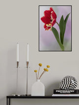 Spring is in the Air Poster och Canvastavla