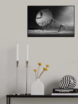 To fight with oneself Poster och Canvastavla