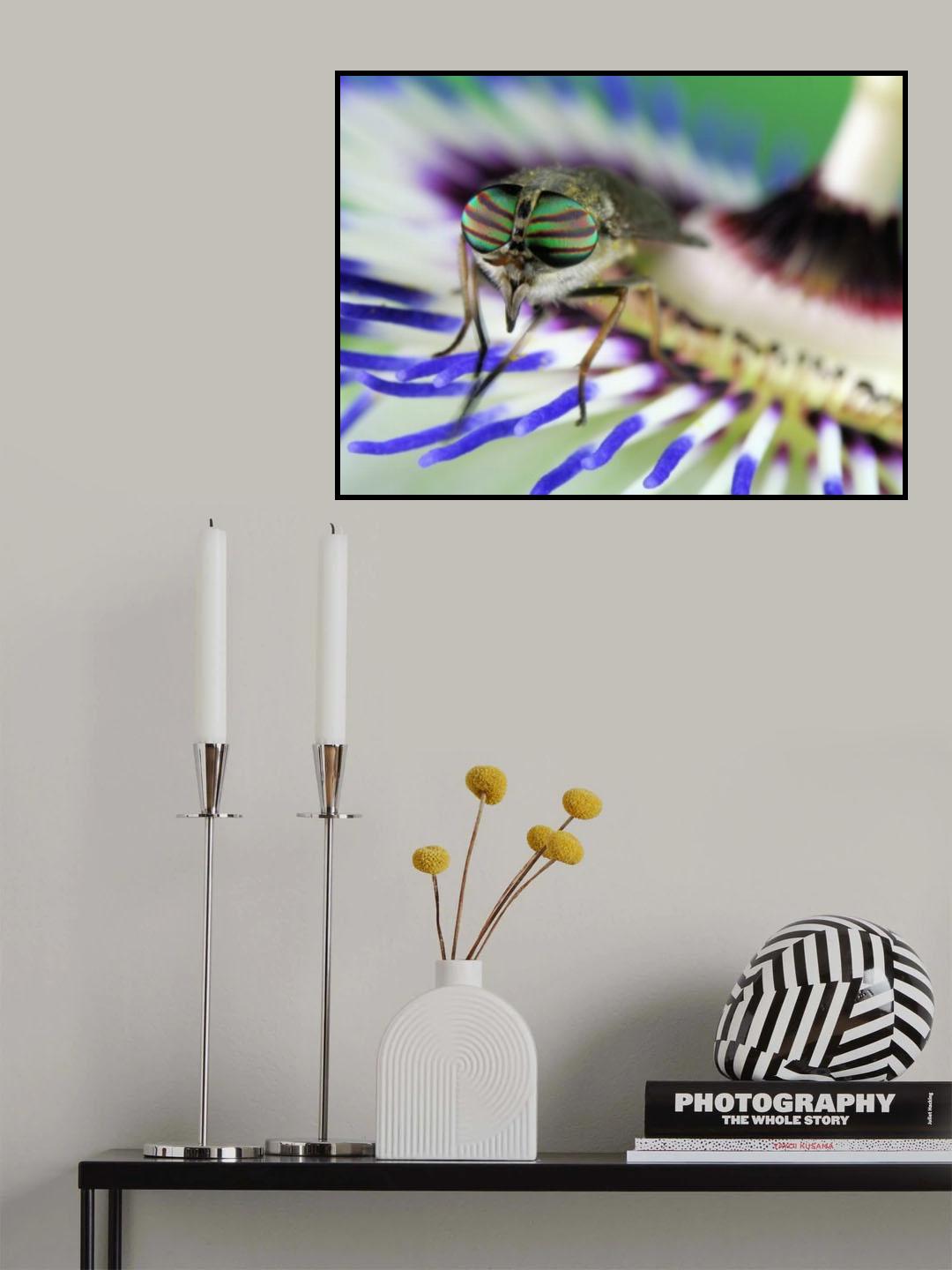 Eye-catching Poster och Canvastavla