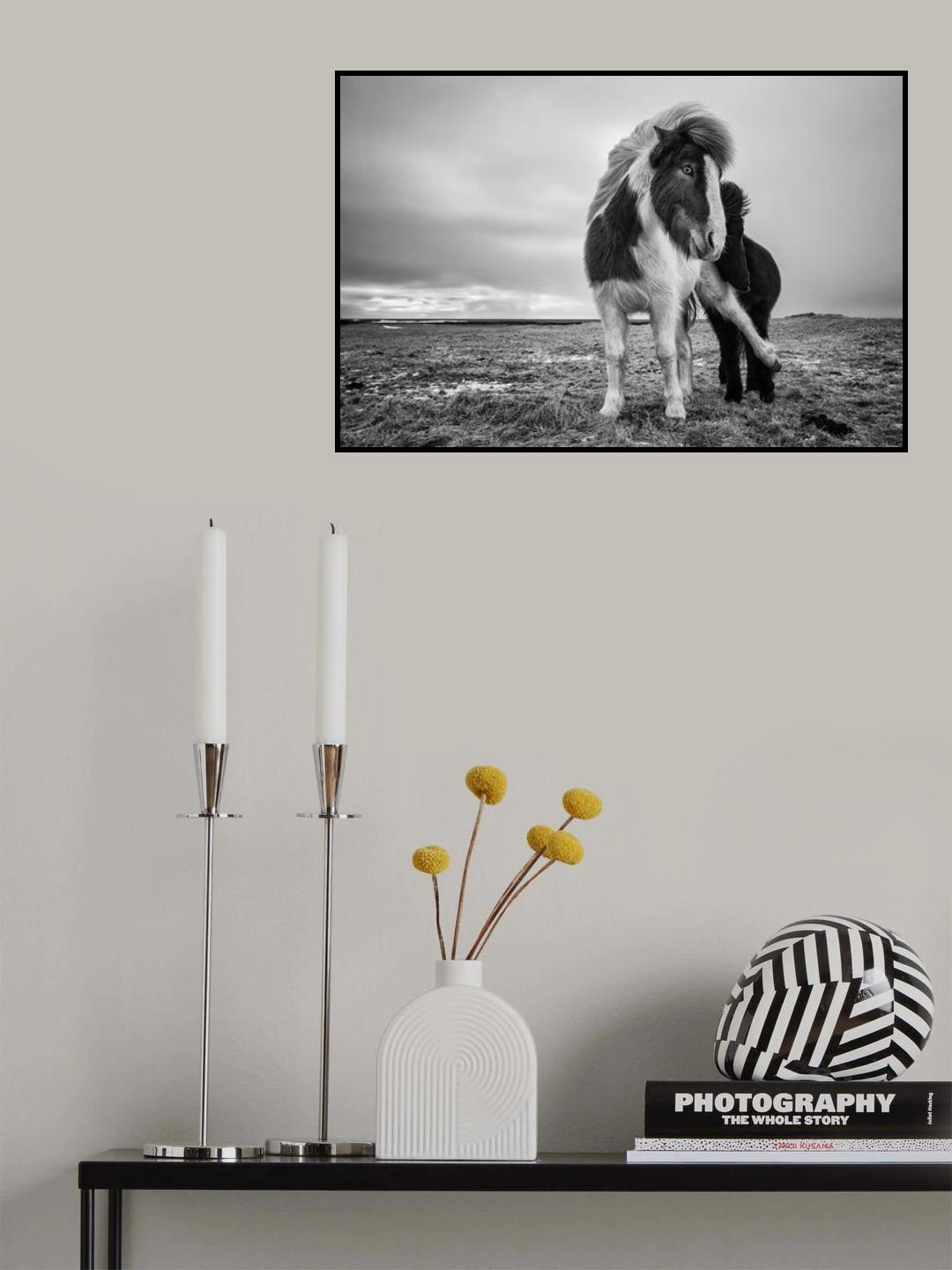 Stop Poster och Canvastavla