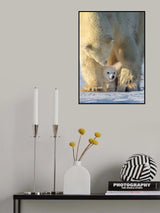 Aegis Poster och Canvastavla