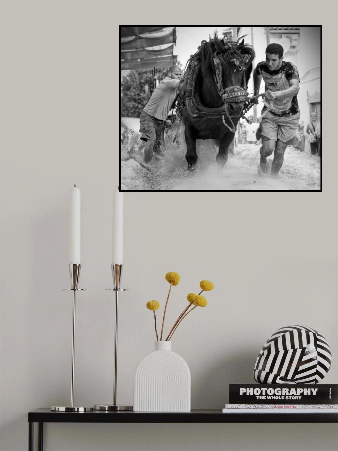 Tiro y arrastre Poster och Canvastavla