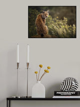 Lynx Fine Art. Poster och Canvastavla