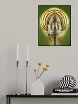 Flower fly Poster och Canvastavla