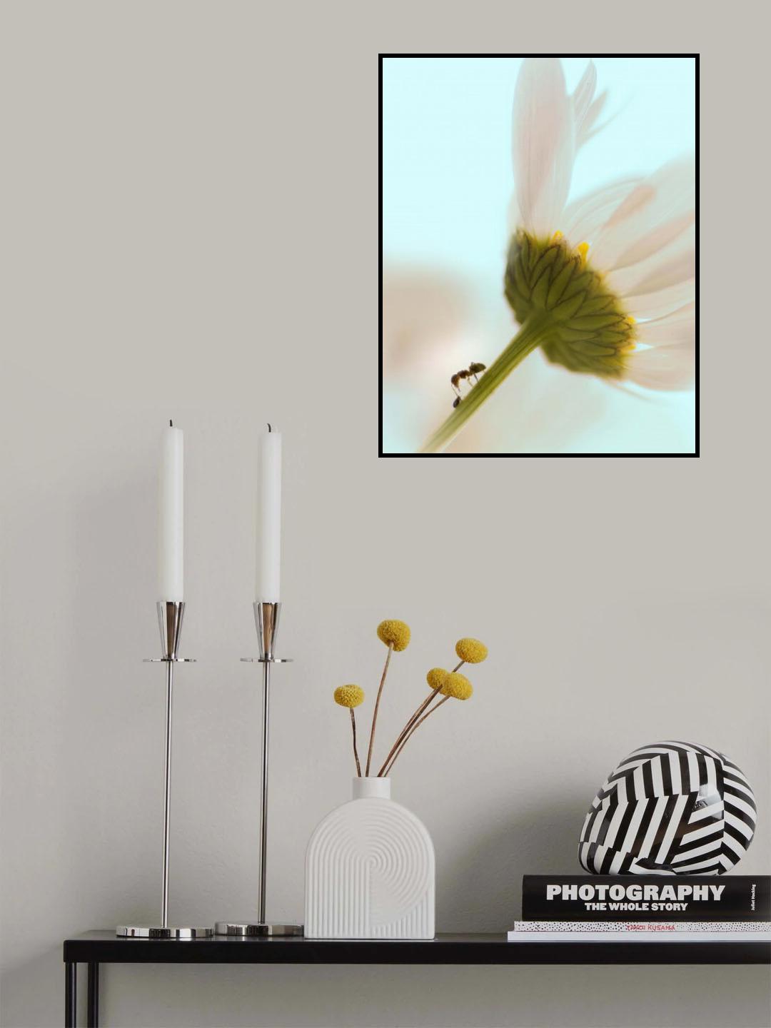 Myran och lusen. Poster och Canvastavla