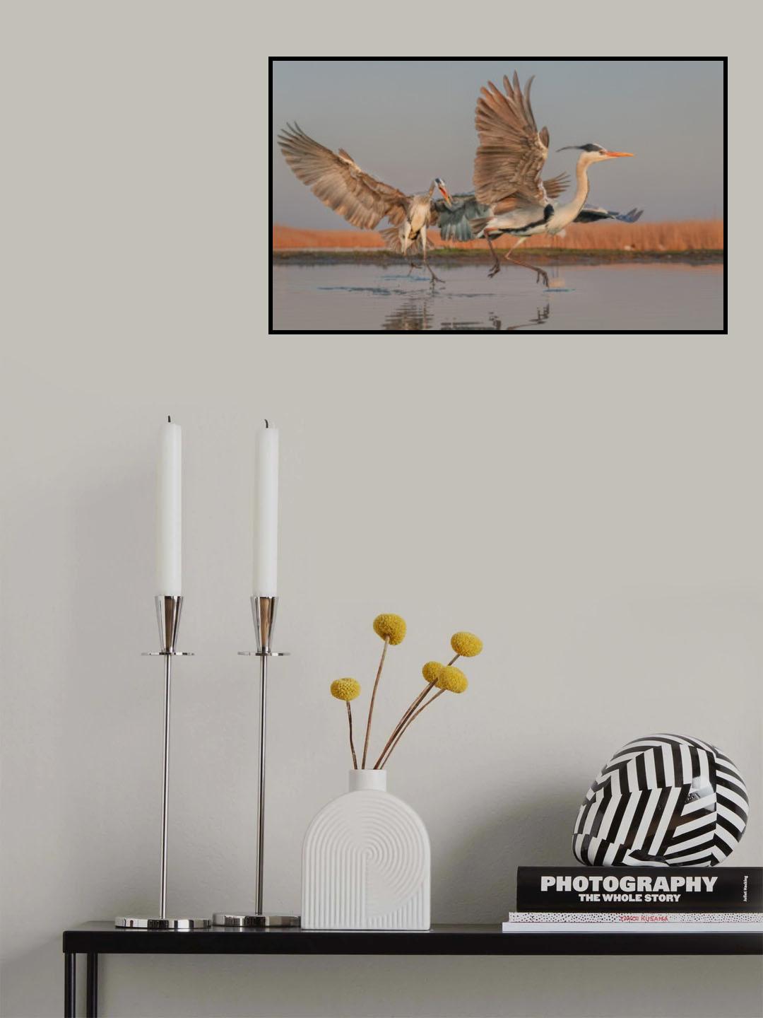 Chasing… Poster och Canvastavla