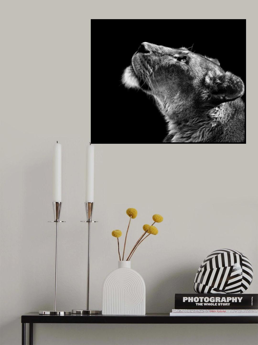 Looking Up Poster och Canvastavla