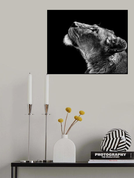 Looking Up Poster och Canvastavla