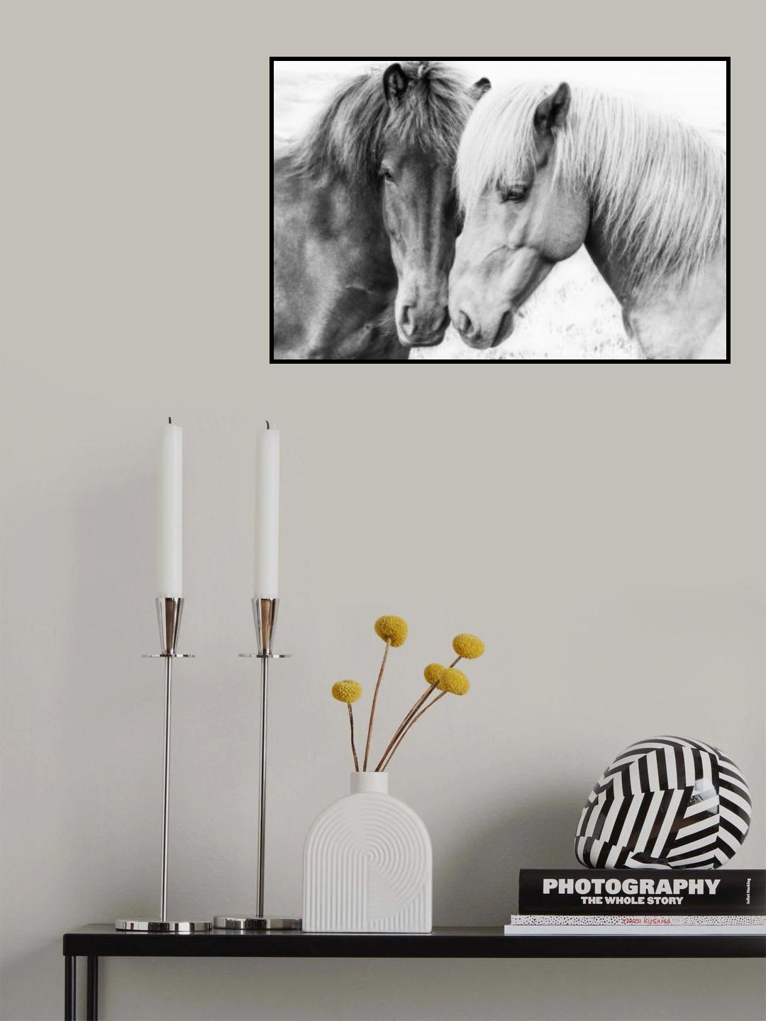 Horse Love Poster och Canvastavla