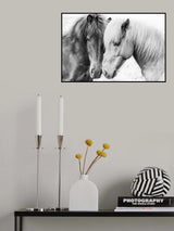 Horse Love Poster och Canvastavla