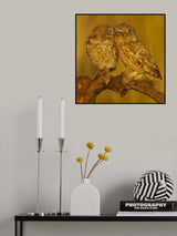 Sweet couple Poster och Canvastavla