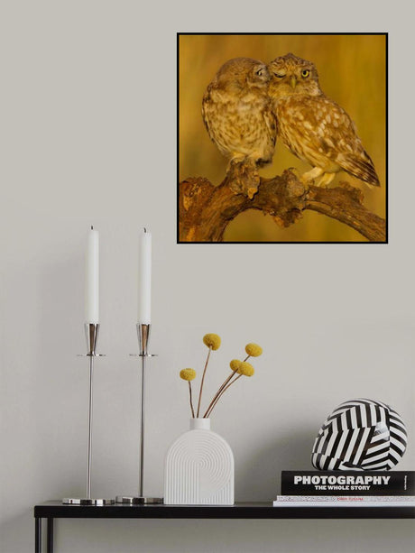 Sweet couple Poster och Canvastavla