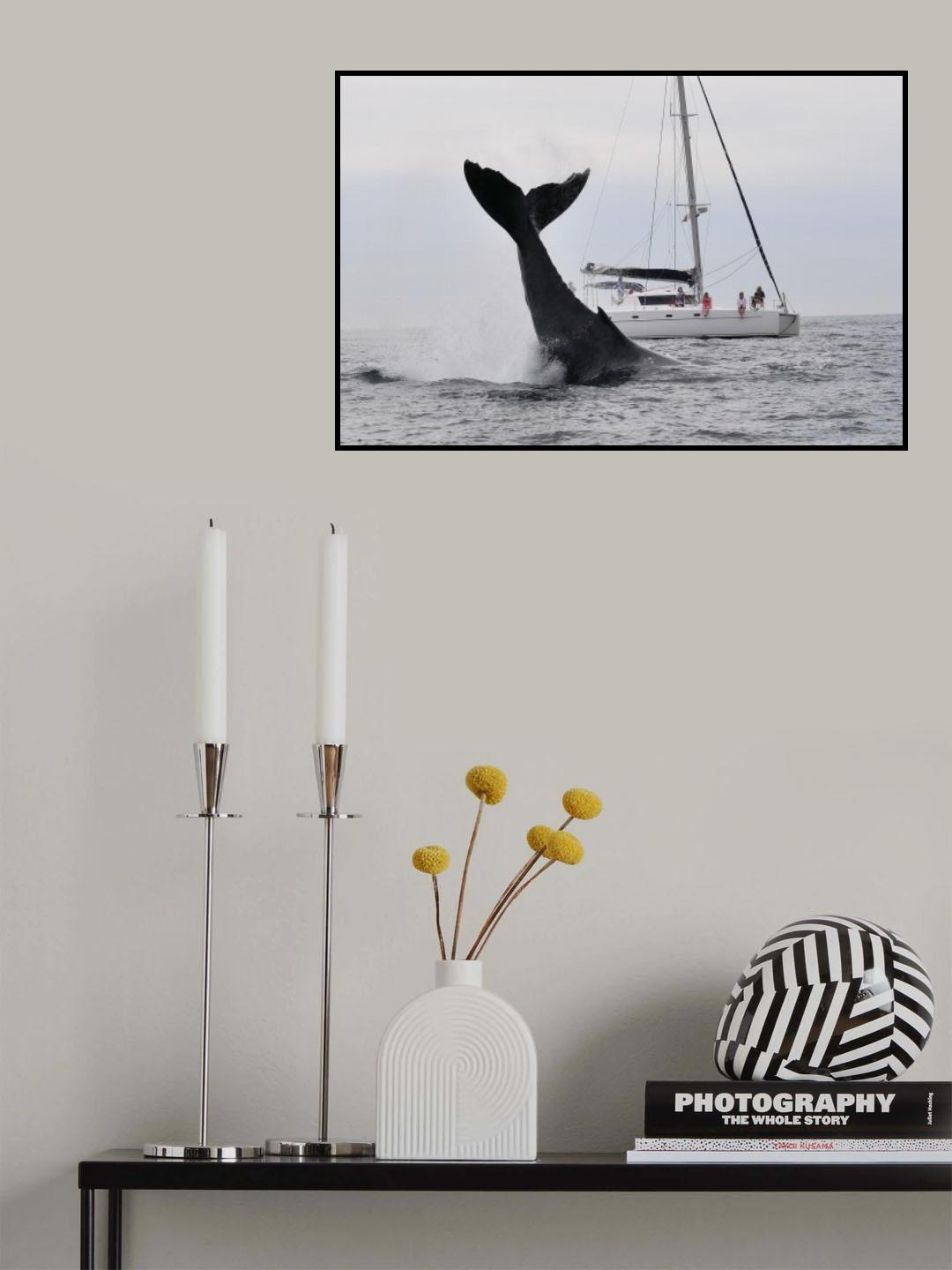 Tale of a whale Poster och Canvastavla