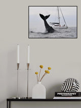 Tale of a whale Poster och Canvastavla