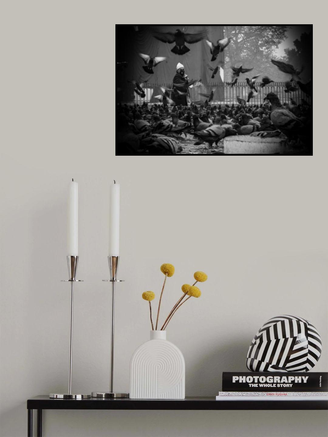 Feeding pigeons on the street, Beautiful street photo Poster och Canvastavla
