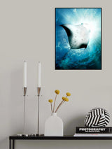 Sun Diver Poster och Canvastavla