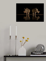 reflection Poster och Canvastavla