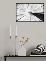 Tree trunk Poster och Canvastavla