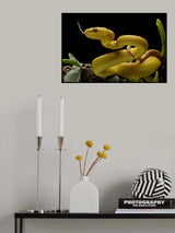 The Yellow Poster och Canvastavla