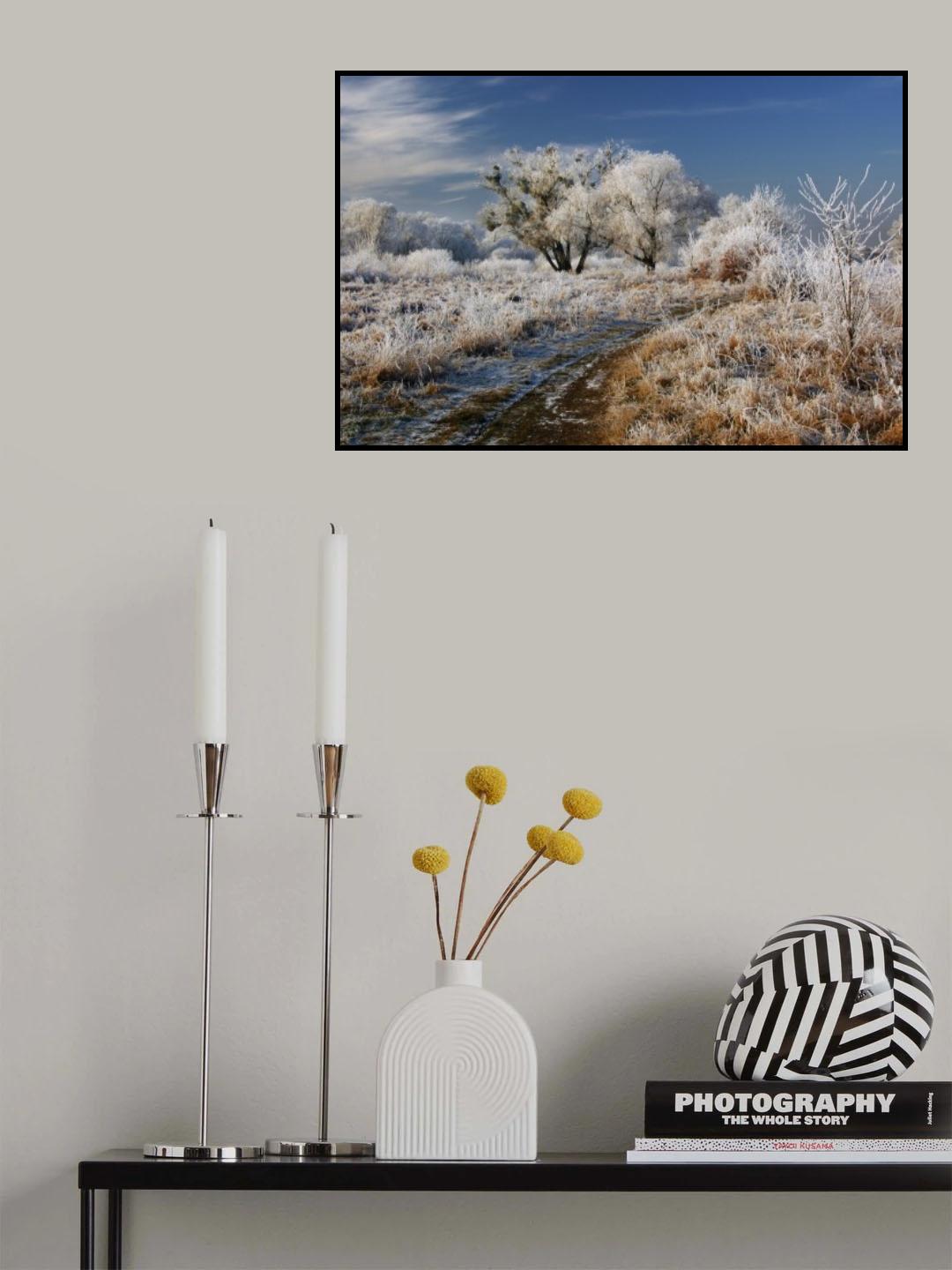Welcome to Narnia! Poster och Canvastavla